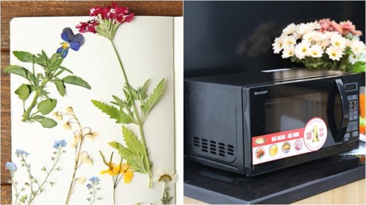 Hoa tươi và lò vi sóng sẵn sàng cho thử nghiệm