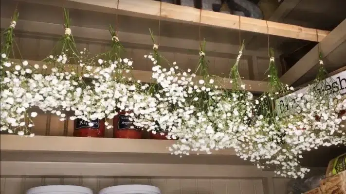 Treo trút ngược hoa baby