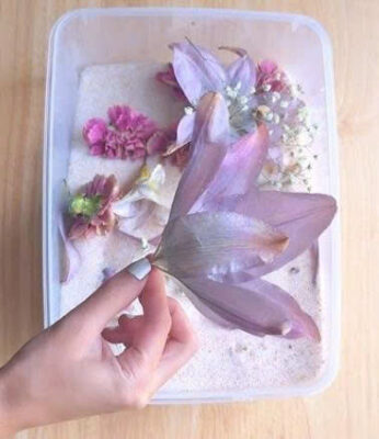 phủ bột silica lên hoa